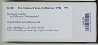 Image Associated With the Occurence